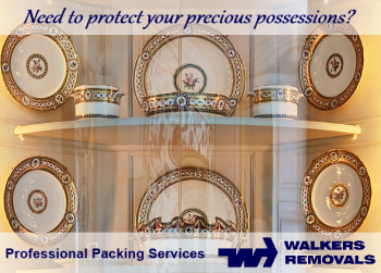 Packing Services